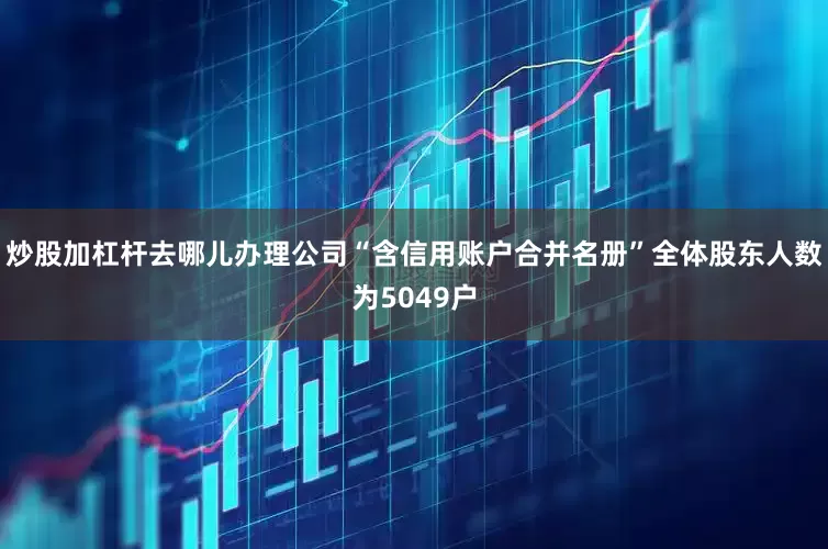 炒股加杠杆去哪儿办理公司“含信用账户合并名册”全体股东人数为5049户