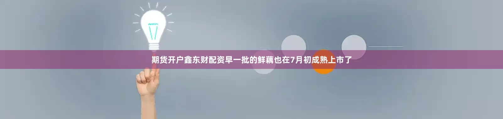 期货开户鑫东财配资早一批的鲜藕也在7月初成熟上市了