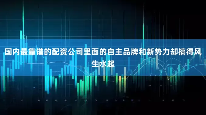 国内最靠谱的配资公司里面的自主品牌和新势力却搞得风生水起