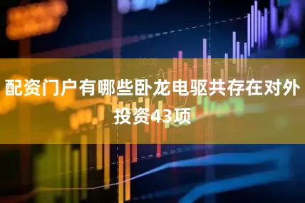 配资门户有哪些卧龙电驱共存在对外投资43项