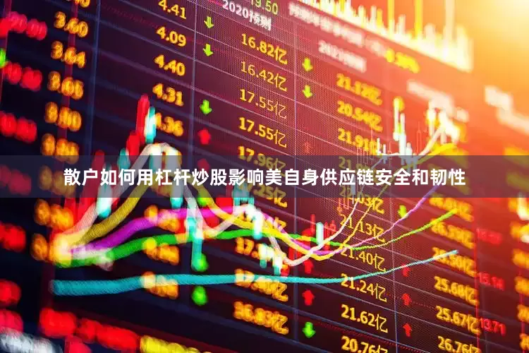 散户如何用杠杆炒股影响美自身供应链安全和韧性